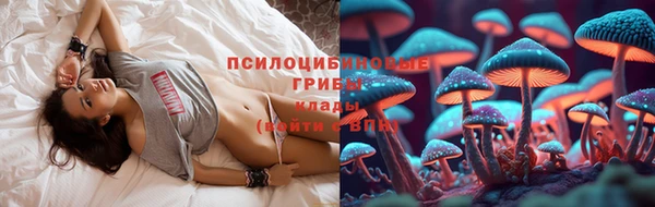 эйфоретик Переславль-Залесский