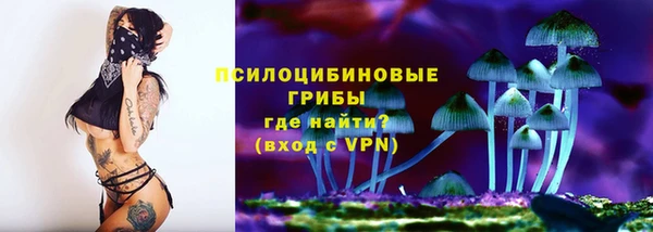эйфоретик Переславль-Залесский