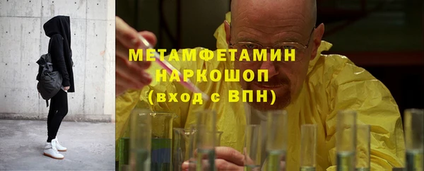 гидра Покачи