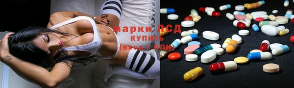 стаф Покров