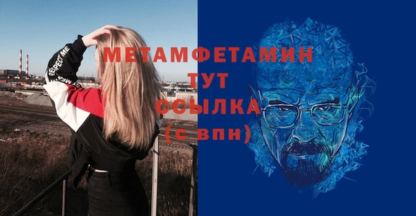 гидра Покачи
